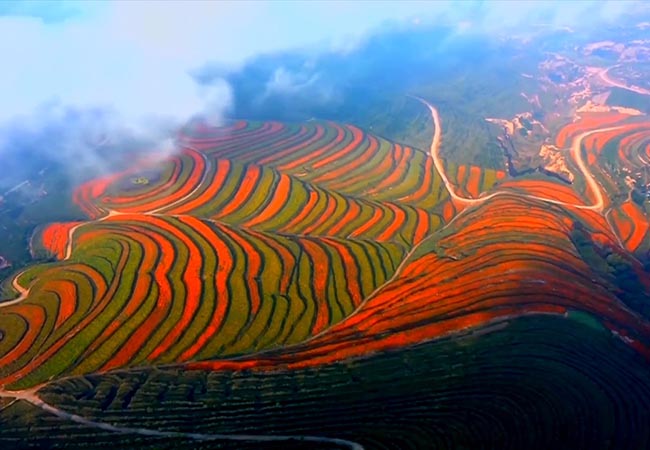 青岛三维动画制作后期都要做什么? 青岛三维动画制作后期都要做什么?