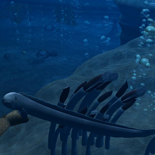 海底效果三维动画制作